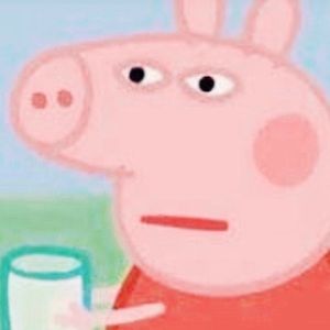 Meet your Posher, Bailey